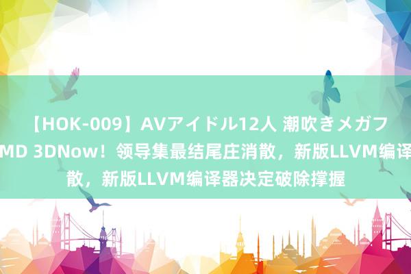 【HOK-009】AVアイドル12人 潮吹きメガファック！！！ AMD 3DNow！领导集最结尾庄消散，新版LLVM编译器决定破除撑握