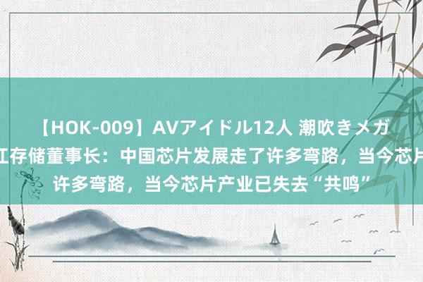 【HOK-009】AVアイドル12人 潮吹きメガファック！！！ 长江存储董事长：中国芯片发展走了许多弯路，当今芯片产业已失去“共鸣”