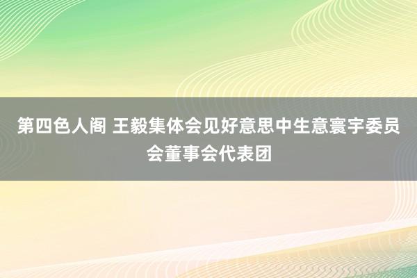 第四色人阁 王毅集体会见好意思中生意寰宇委员会董事会代表团