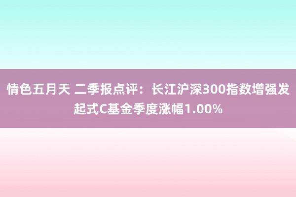 情色五月天 二季报点评：长江沪深300指数增强发起式C基金季度涨幅1.00%