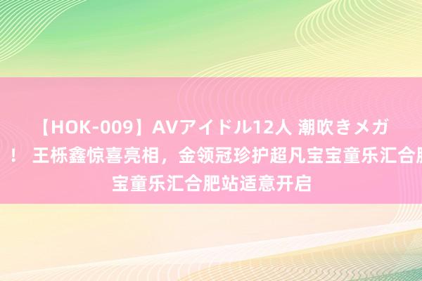 【HOK-009】AVアイドル12人 潮吹きメガファック！！！ 王栎鑫惊喜亮相，<a href=