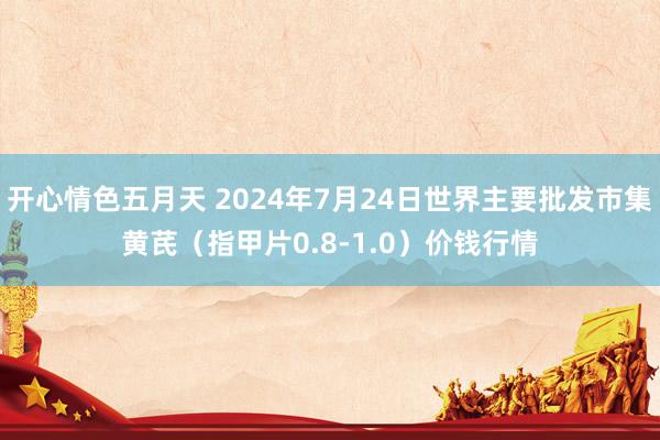 开心情色五月天 2024年7月24日世界主要批发市集黄芪（指甲片0.8-1.0）价钱行情