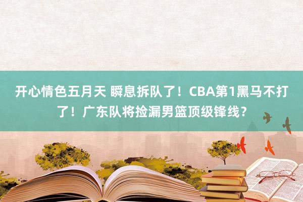 开心情色五月天 瞬息拆队了！CBA第1黑马不打了！广东队将捡漏男篮顶级锋线？