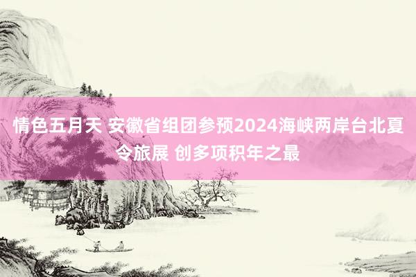 情色五月天 安徽省组团参预2024海峡两岸台北夏令旅展 创多项积年之最