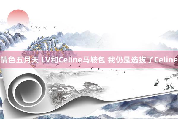 情色五月天 LV和Celine马鞍包 我仍是选拔了Celine