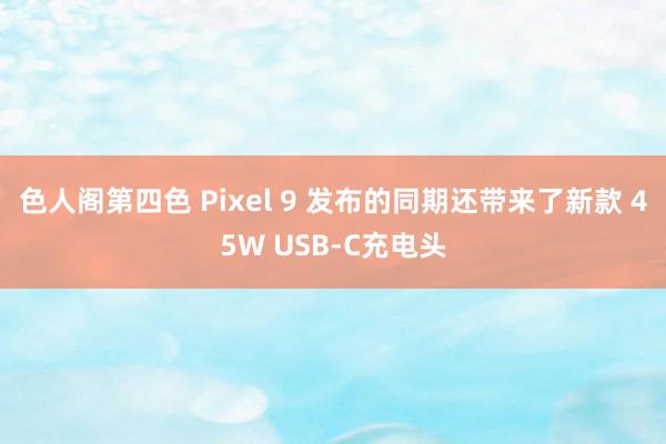 色人阁第四色 Pixel 9 发布的同期还带来了新款 45W USB-C充电头