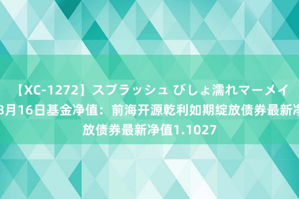 【XC-1272】スプラッシュ びしょ濡れマーメイド 明日香 8月16日基金净值：前海开源乾利如期绽放债券最新净值1.1027