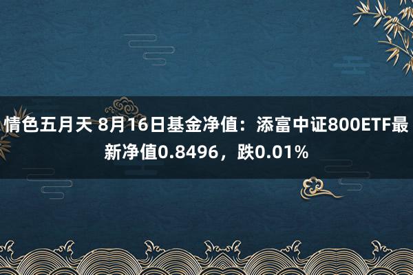 情色五月天 8月16日基金净值：添富中证800ETF最新净值0.8496，跌0.01%