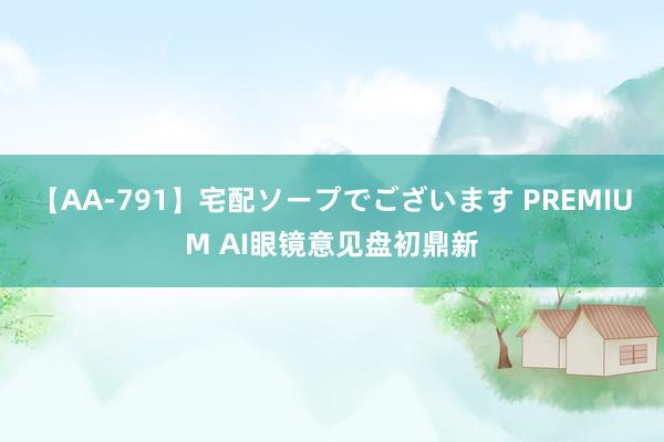 【AA-791】宅配ソープでございます PREMIUM AI眼镜意见盘初鼎新