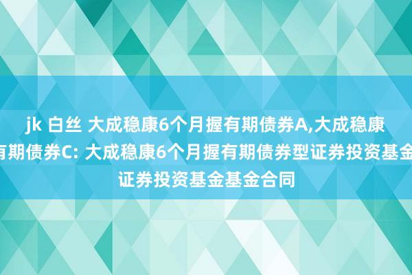 jk 白丝 大成稳康6个月握有期债券A，大成稳康6个月握有期债券C: 大成稳康6个月握有期债券型证券投资基金基金合同