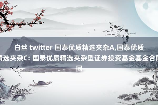 白丝 twitter 国泰优质精选夹杂A，国泰优质精选夹杂C: 国泰优质精选夹杂型证券投资基金基金合同