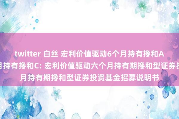 twitter 白丝 宏利价值驱动6个月持有搀和A，宏利价值驱动6个月持有搀和C: 宏利价值驱动六个月持有期搀和型证券投资基金招募说明书