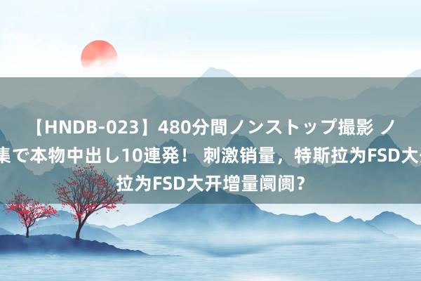 【HNDB-023】480分間ノンストップ撮影 ノーカット編集で本物中出し10連発！ 刺激销量，特斯拉为FSD大开增量阛阓？