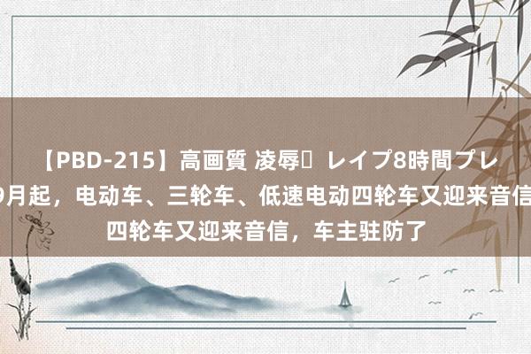 【PBD-215】高画質 凌辱・レイプ8時間プレミアムBEST 9月起，电动车、三轮车、低速电动四轮车又迎来音信，车主驻防了