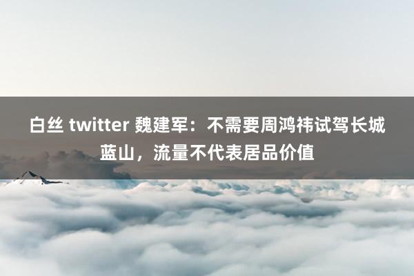 白丝 twitter 魏建军：不需要周鸿祎试驾长城蓝山，流量不代表居品价值