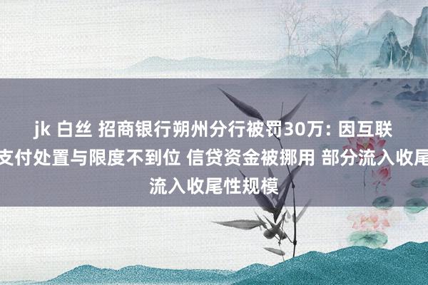 jk 白丝 招商银行朔州分行被罚30万: 因互联网贷款支付处置与限度不到位 信贷资金被挪用 部分流入收尾性规模