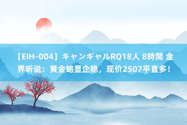 【EIH-004】キャンギャルRQ18人 8時間 金界听说：黄金略显企稳，现价2507平直多！