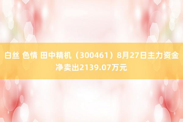 白丝 色情 田中精机（300461）8月27日主力资金净卖出2139.07万元