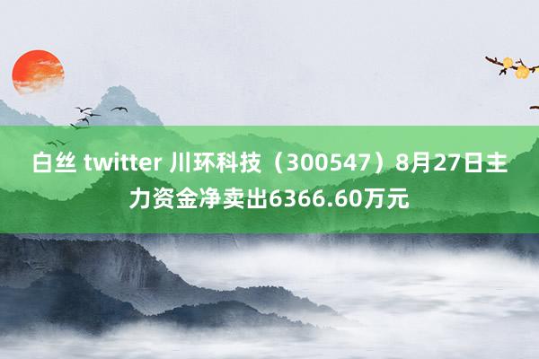 白丝 twitter 川环科技（300547）8月27日主力资金净卖出6366.60万元