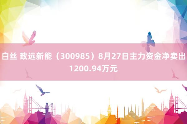 白丝 致远新能（300985）8月27日主力资金净卖出1200.94万元