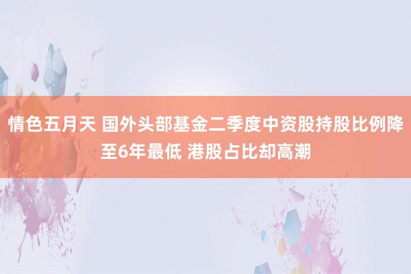 情色五月天 国外头部基金二季度中资股持股比例降至6年最低 港股占比却高潮