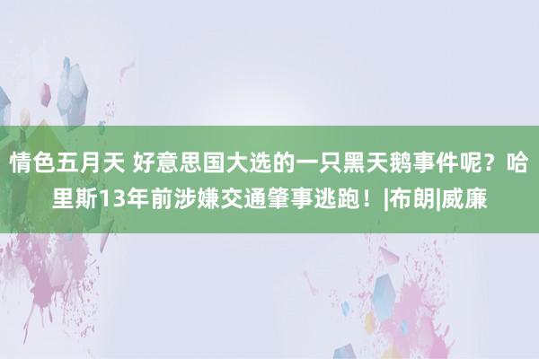 情色五月天 好意思国大选的一只黑天鹅事件呢？哈里斯13年前涉嫌交通肇事逃跑！|布朗|威廉