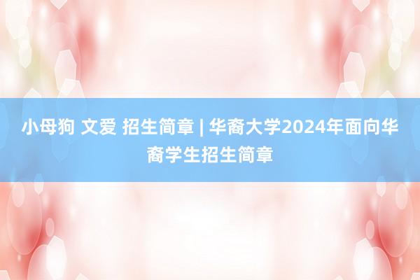 小母狗 文爱 招生简章 | 华裔大学2024年面向华裔学生招生简章