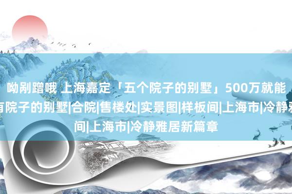 呦剐蹭哦 上海嘉定「五个院子的别墅」500万就能有天有地有院子的别墅|合院|售楼处|实景图|样板间|上海市|冷静雅居新篇章