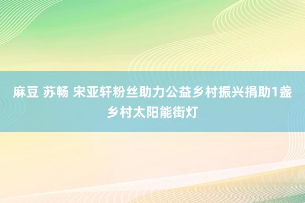 麻豆 苏畅 宋亚轩粉丝助力公益乡村振兴捐助1盏乡村太阳能街灯