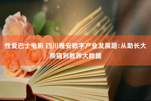 性爱巴士电影 四川雅安数字产业发展路:从助长大熊猫到教养大数据