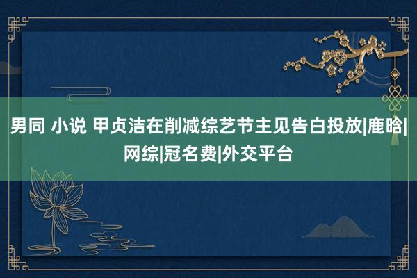 男同 小说 甲贞洁在削减综艺节主见告白投放|鹿晗|网综|冠名费|外交平台