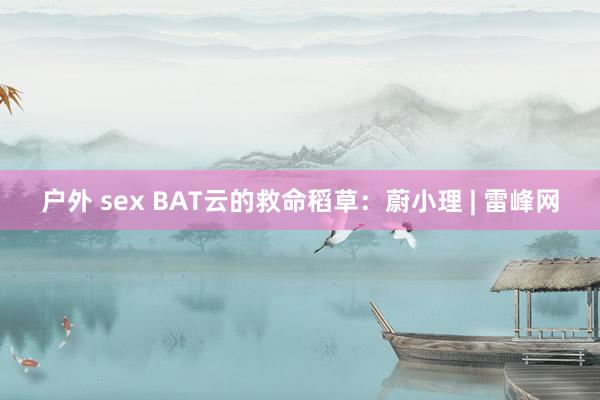 户外 sex BAT云的救命稻草：蔚小理 | 雷峰网