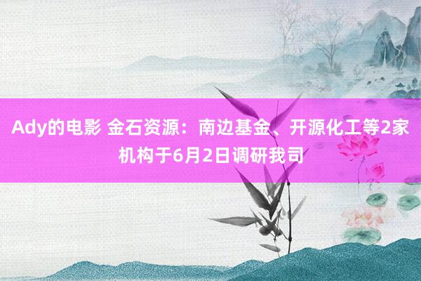 Ady的电影 金石资源：南边基金、开源化工等2家机构于6月2日调研我司