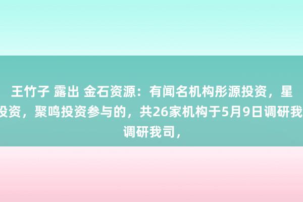 王竹子 露出 金石资源：有闻名机构彤源投资，星石投资，聚鸣投资参与的，共26家机构于5月9日调研我司，