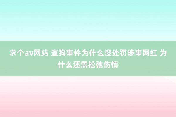 求个av网站 遛狗事件为什么没处罚涉事网红 为什么还需松弛伤情