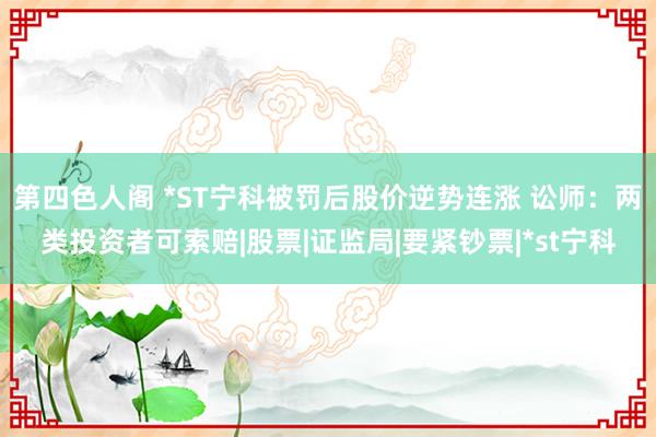 第四色人阁 *ST宁科被罚后股价逆势连涨 讼师：两类投资者可索赔|股票|证监局|要紧钞票|*st宁科